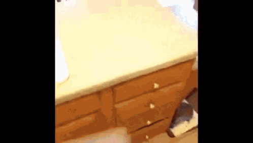 Hoecat Cat GIF - Hoecat Cat Box GIFs