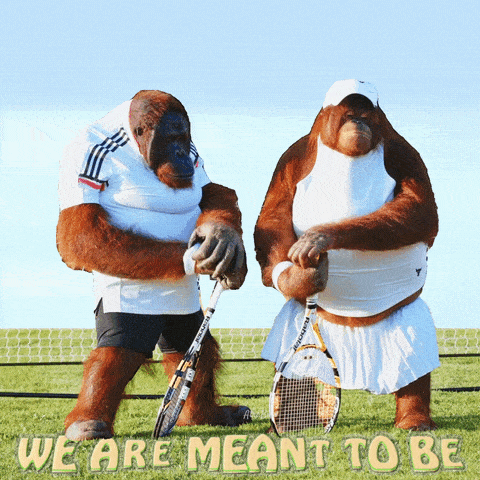 a couple of orangutans holding tennis rackets with the words we are meant to be above them