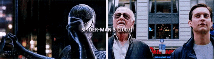 Spider Man Stan Lee GIF