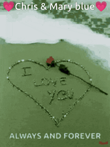 chris and mary blue wrote i love you in the sand with a rose