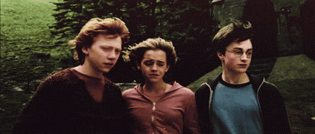 harry potter and ron weasley are walking together