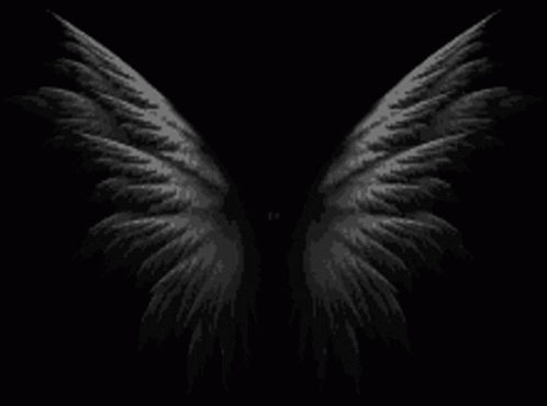 Angel Wings GIF - Angel Wings Angel Wings GIFs