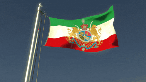 a flag with a coat of arms on it is waving in the wind