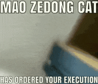 Meme Mao Zedong GIF - Meme Mao Zedong Cat GIFs