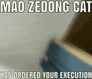 a picture of a cat with a caption that says mao zedong cat has ordered your execution .