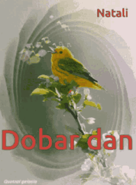 a picture of a bird on a branch with the name natali