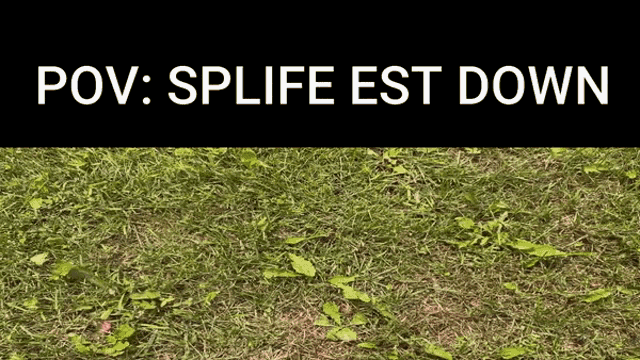 Splife Garrys Mod Splife GIF - Splife Garrys Mod Splife Splife Meme GIFs