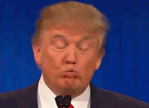Trump Trumo Bop GIF - Trump Trumo Bop Trump2020 GIFs