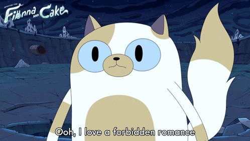 a cartoon of finna and cake says ooh i love a forbidden romance