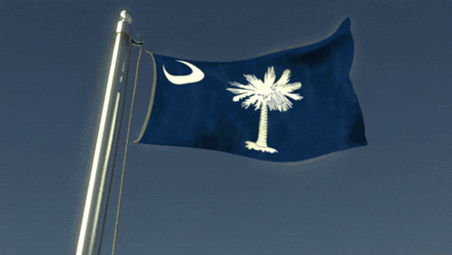 a blue flag with a palm tree and a crescent moon