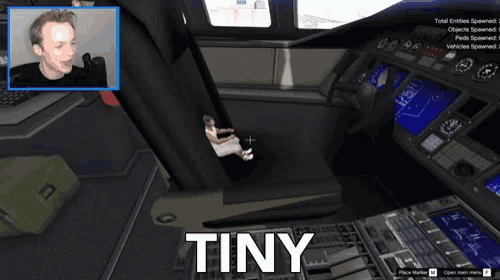 a video game with the word tiny at the bottom of it
