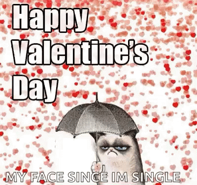 Antisocial Cat GIF - Antisocial Cat Valentines Day GIFs