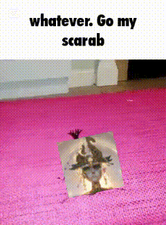 a picture of a frog on a pink rug with the words " whatever go my scarab "