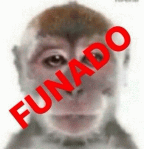 a picture of a monkey with the word funado written over it