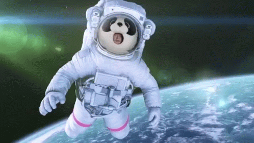 Astronaut Panda In Space GIF - Astronaut Panda In Space Astronaut Panda GIFs