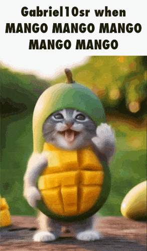 a cat is wearing a mango hat and holding a mango