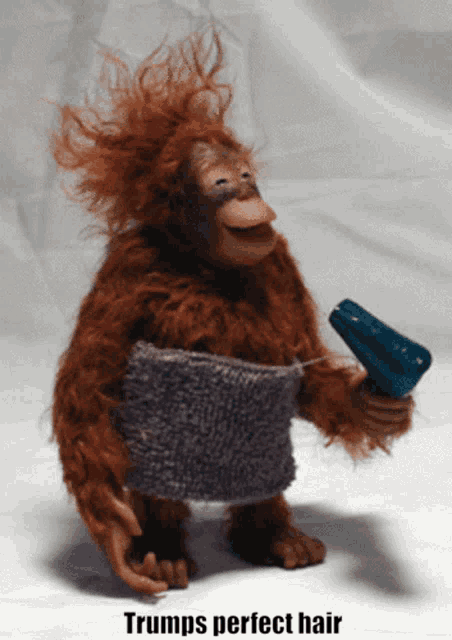 a stuffed monkey holding a hair dryer with the caption trumps perfect hair below it