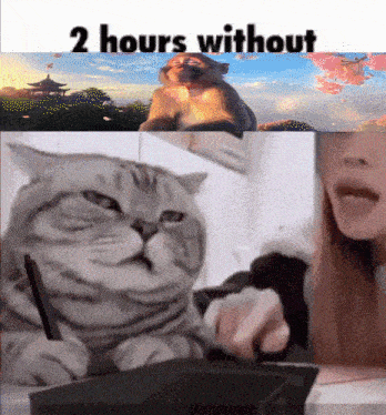 a picture of a monkey and a cat with the words 2 hours without