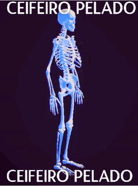 a skeleton is glowing in the dark with the words ceifeiro pelado written on it .