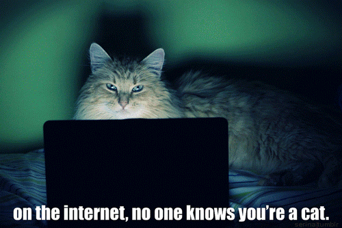 On The Internet, No One Knows.... GIF - Cats Internet GIFs