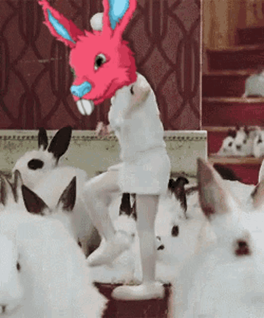 a girl wearing a pink bunny mask is surrounded by white bunnies