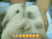 Kisses I Give You Kisses GIF - Kisses I Give You Kisses Kisses For You GIFs