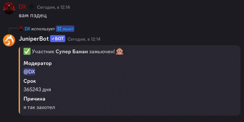 a screenshot of a discord conversation between juniper bot and dx