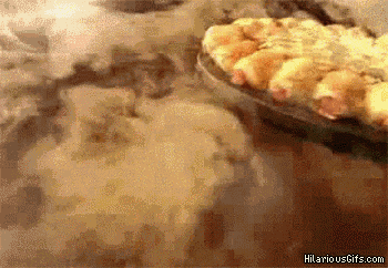 a close up of a pizza being cooked in a pan .