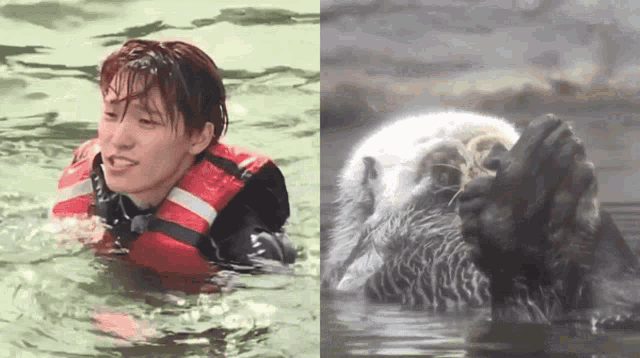 a man in a life jacket is swimming next to a otter