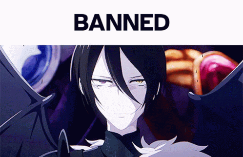 Nort Discord GIF - Nort Discord Banned GIFs