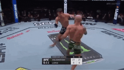 two men are fighting in a boxing ring with a bud light banner behind them