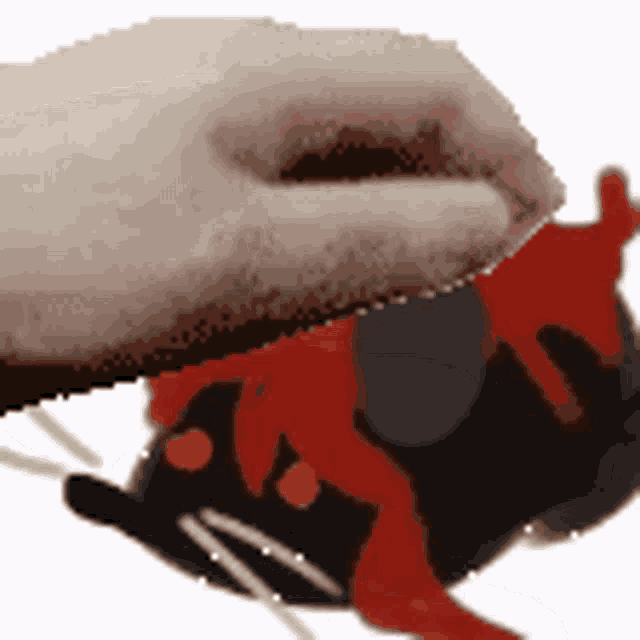 a hand is petting a stuffed animal that looks like a cat .
