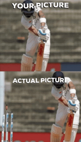 Cricket GIF - Cricket GIFs