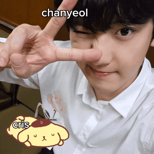 a young man giving a peace sign with the name chanyeol written above him