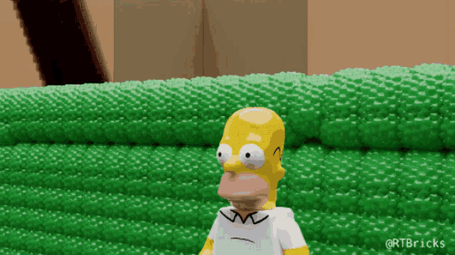 homer simpson is standing in front of a green field
