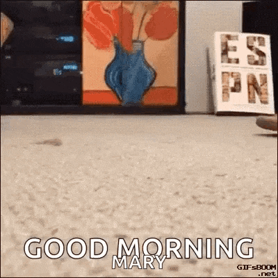 a cat says good morning mary in front of a vase of flowers