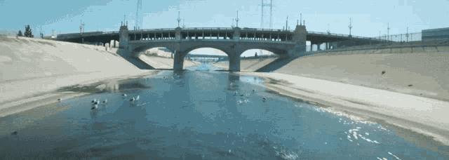 a bridge over a body of water with birds swimming in the water