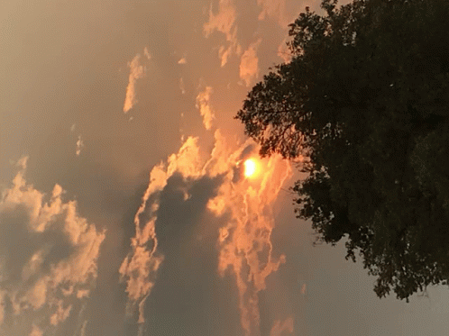 Fire Sunset GIF - Fire Sunset GIFs