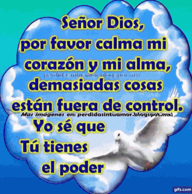 señor dios por favor calma mi corazón y mi alma demasiadas cosas están fuera de control yo sé que tu tienes el poder
