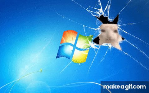 a broken screen with a picture of a cat sticking its head through it