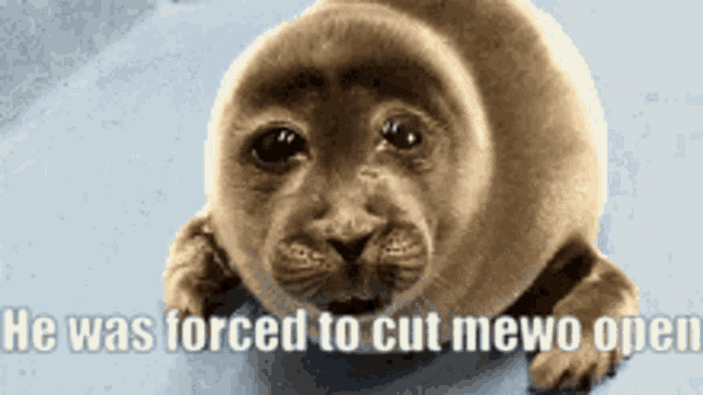 a seal with the words " he was forced to cut mewo open " next to it