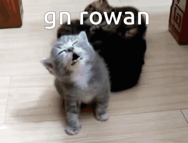 Rowan Gn GIF - Rowan Gn Good Night GIFs