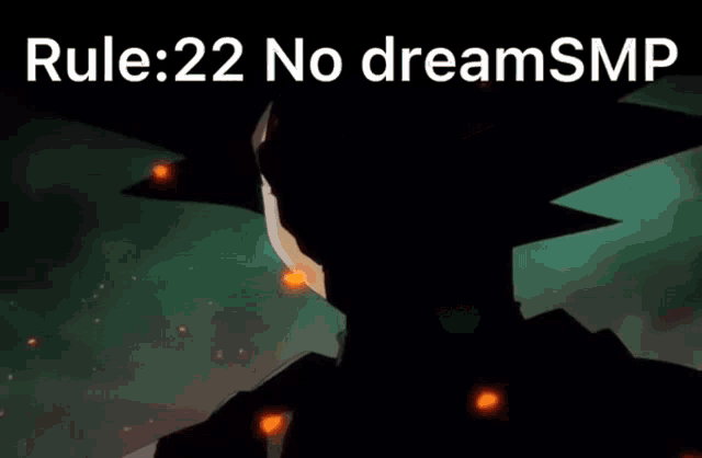 a picture of a cartoon character with the words rule 22 no dreamsmp on the bottom