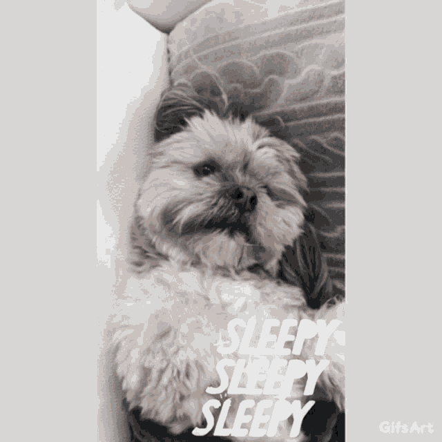 Sleepy Dog GIF