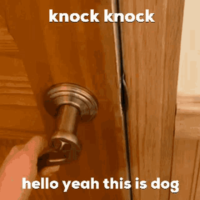a person is opening a door with a knock knock hello yeah this is dog .
