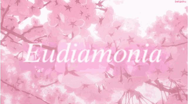 a pink background with the word eudiamonia written in white
