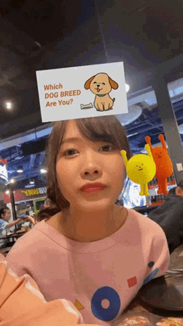 a woman wearing a pink shirt with a sticker on her head that says which dog breed are you