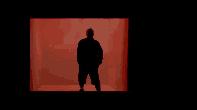 a man in a black jacket is standing in a red room