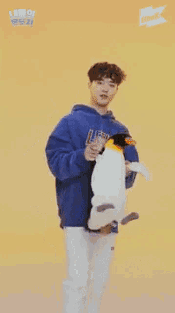 a young man in a blue hoodie holds a stuffed penguin