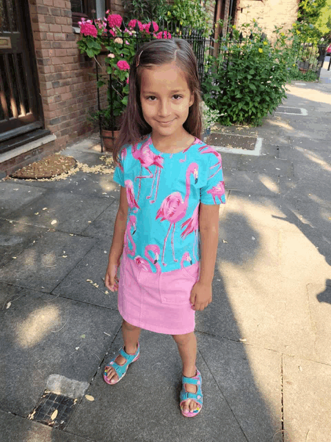 a little girl wearing a flamingo shirt and pink skirt stands on a sidewalk